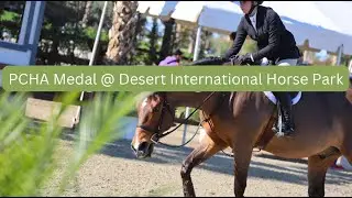 2nd place PCHA Medal - Desert International Horse Park