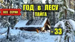ПОСЛЕДНИЙ ГОД в ТАЙГЕ 2026 ВСЕ СЕРИИ СЕРИАЛ АУДИОКНИГА ДОМ в ЛЕСУ ИСТОРИИ из ЖИЗНИ КНИГИ СЛУШАТЬ