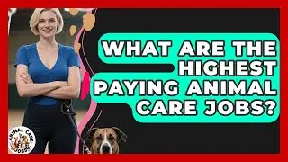 What Are the Highest Paying Animal Care Jobs? | Animal Care Jobs