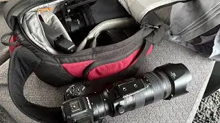 Nikon Z9 - Dog Event Photography - Day 2 of 5 Day Event - UKC Premier