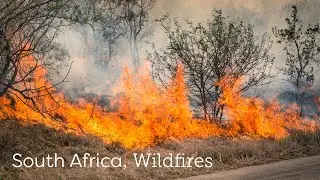 South African Wildfires - Geospatial Insight