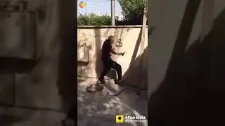 Indian Funny Videos, WhatsApp Status - 4Fun