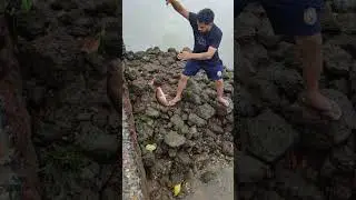 tamso (red snapper) in goa #viral #shortsvideo #shorts #youtubeshorts