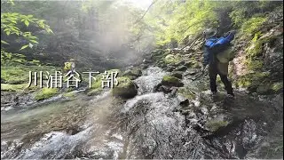 【沢登り】川浦谷下部