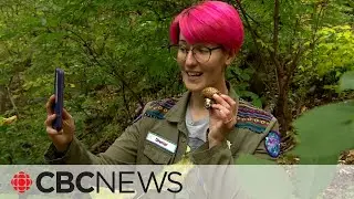 This Edmonton woman is turning mushrooms from passion to profession