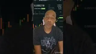 Safemoon Investors Wallet Security