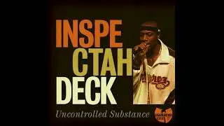 INSPECTAH DECK - THE REBEL I.N.S. (INSTRUMENTAL ALBUM)