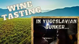 Wine Tasting LARGEST vineyard in Europe (13. Jul Plantaže Montenegro)