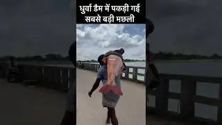 Ranchi Ke Dhurwa Dam Ki Machli 🐟