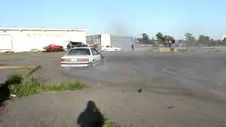 Duncan Motors Mustang Going Wild