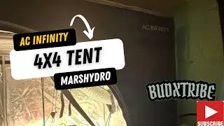 4x4 Tent SetUp. Not yours but mine. AC Infinity Tent Marshydro Light