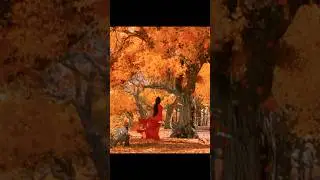 Red Maple Duel | Flying Snow vs. Moon in Hero (2002)