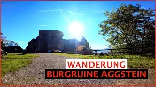 Wanderung zur Burgruine Aggstein von Aggsbach-Dorf 2022 | Alexander Schuster