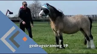 gedragstraining 19
