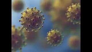 Corona virus confirmed cases till May 9 2020