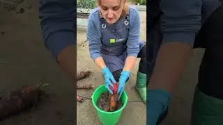 9 сентября 2025 г.