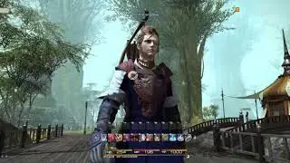 Final Fantasy XIV  A Realm Reborn - Max graphics 4k resolution