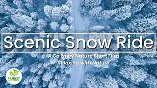 Relaxing Spectacular Snow Ride with Soft Music: Calm Relaxing Instrumental Piano Music Short Film
