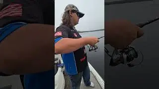 Bedfishing 101 #fishing #bassfishing #bedfishing #bedfish