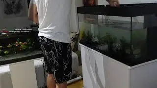 FIGURING OUT NEW RUS META & AQUARIUM SETUP LATER!