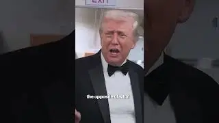 Trump Says Newly Released Epstein Docs &lsquo;Absolve&rsquo; Him #shorts