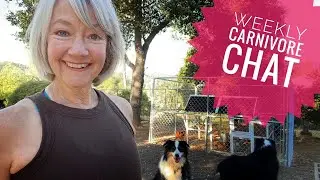 Carnivore Chat
