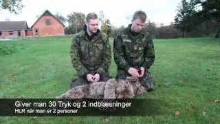 Hjerte Lunge Redning (HLR) til hund