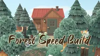 Forest Speed Build | Animal Crossing New Horizons