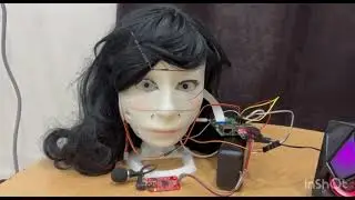 Humaniod Robotic Head Brain HRHB : Case_4 : Wanted traveller