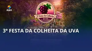 Grape Harvest Festival 🍇