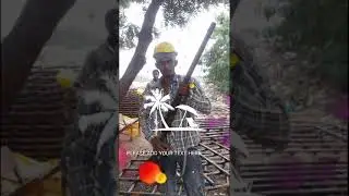 Lala driver