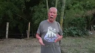 Memorias de un guadual - Documental