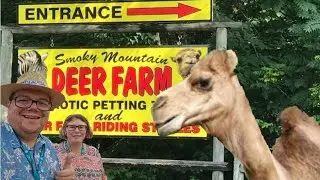 Smoky Mountain Deer Farm and Exotic Petting Zoo Sevierville Tennessee 2024 Complete Walkthrough