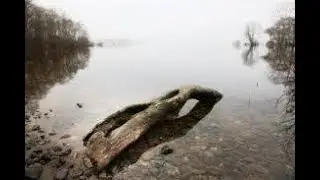 SUSIE SPEAKS: Berating Bylines, Twisted Images, Frozen Words, A Driftwood Sojourning, Fly With Words