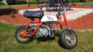 Honda z50 Mini Trail Top Speed!!!