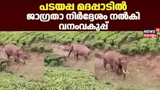 പടയപ്പ മദപ്പാടിൽ; ജാഗ്രതാ നിർദ്ദേശം നൽകി വനംവകുപ്പ്  | Wild Elephant Padayappa in Musth | Idukki