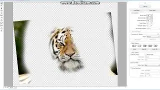 Photo Manipulation Tiger face in Photoshop