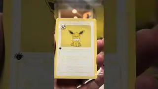 Pokederp 2 Pack Opening! We pulled a Breakout!