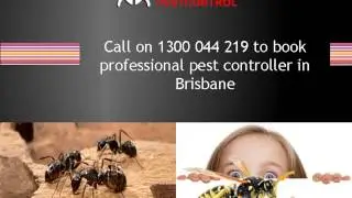 Same Day Pest Control