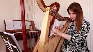 Aerosmith - I Don't Want to Miss a Thing (Harp Cover)