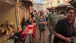 🇮🇳 Why FOREIGNERS are OBSESSED with Pushkar Mela 2025 😱 Pushkar Camel Fair India.   