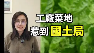 工廠裡圈地種菜十年，新領導剛鏟平就出大事了！