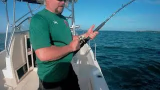 VIRGINIA COBIA TINY'S FIRST OVER 50