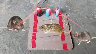 How to Make Electric Rat Trap with Capacitor || Electric Mouse Trap
