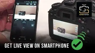 Get Live View on Your Smartphone with Video Recording Options ✅
