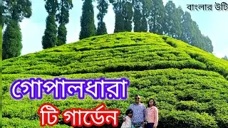 Mirik tour👉Gopal Dhara tea garden tour guide||Gopal Dhara Tea Estate|| গোপাল ধারা চায়ের বাগান.
