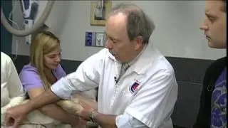 Animal Blood Bank