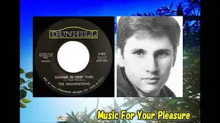 The Imaginations - Summer in New York P.F. Sloan-Steve Barri Teener Summer Song