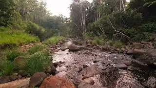 Slow Nature - Dusk in the Valley