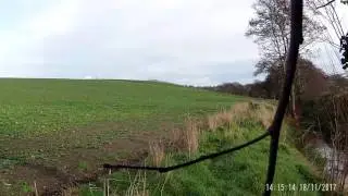 CHASSE DU PIGEON EN IRLANDE